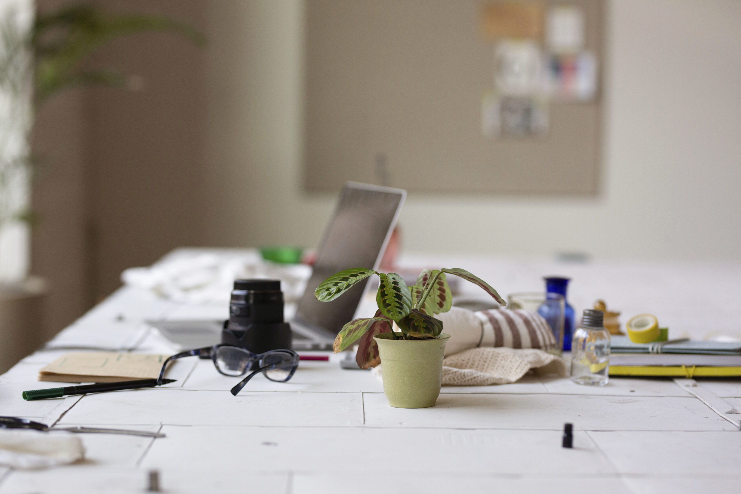 a table with a plant, camera, pens, and notebooks 