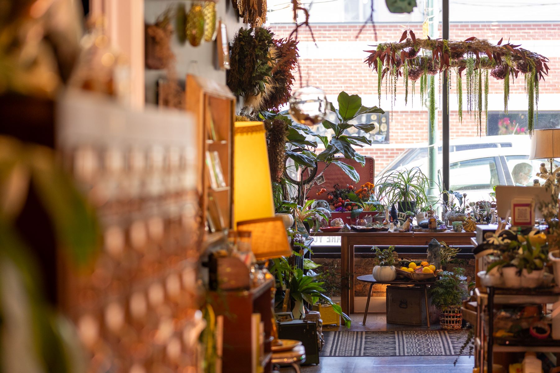 A plant shop featuring a variety of different plants on shelves, tables, and hanging from the ceiling in front of a large glass window and there's lots of lamps in the room that are turned on 