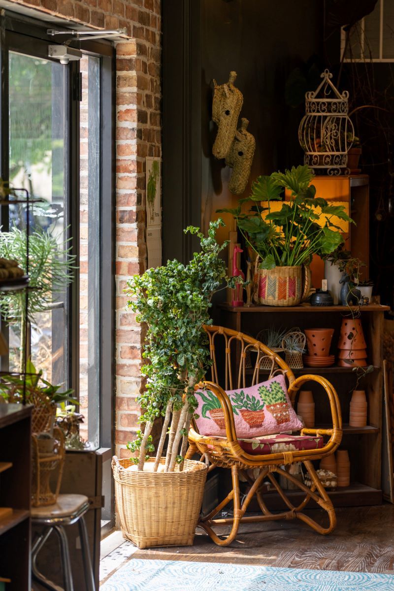 A wooden wicker chair with a pink pillow with three different types of plants on it in a corner next to a brick wall and a window and it is surrounded by lots of different green plants and two different shelves one shelf has a variety of pots stacked on it and the other has a variety of plants 